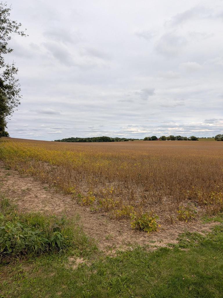 Photo of 38.80 Acres Faville ROAD, Lake Mills, WI 53551 (MLS # 2033533)