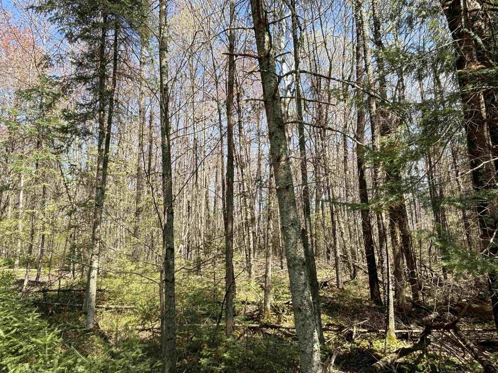 Photo of Vascheau ROAD, Merrill, WI 54452 (MLS # 22602030)
