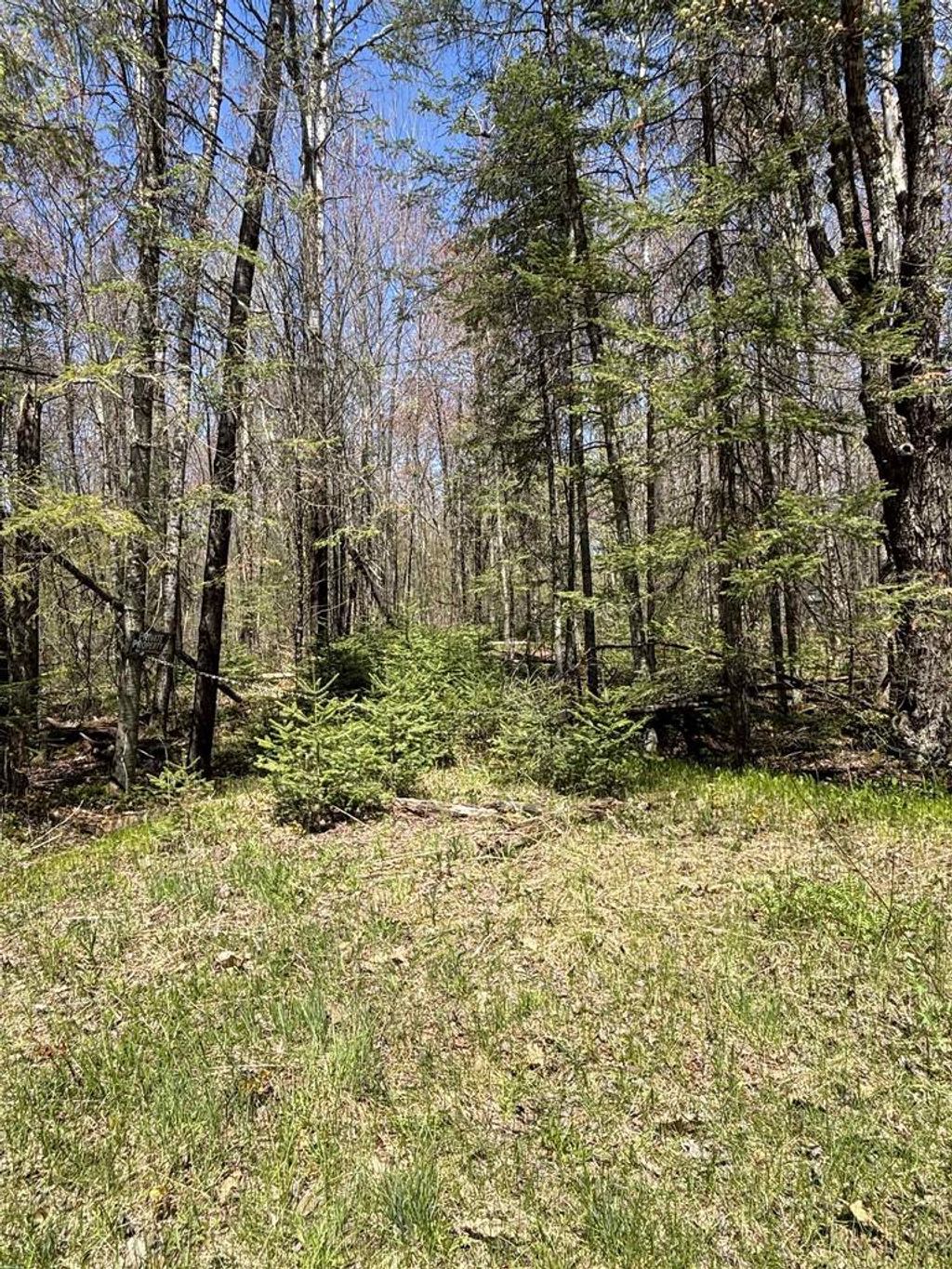 Photo of Vascheau ROAD, Merrill, WI 54452 (MLS # 22602030)