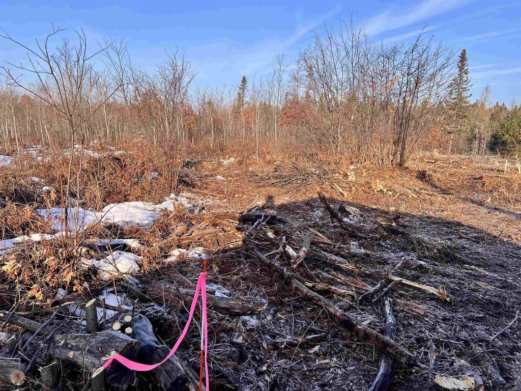 Photo of Parkway ROAD, Crivitz, WI 54114 (MLS # 50321241)