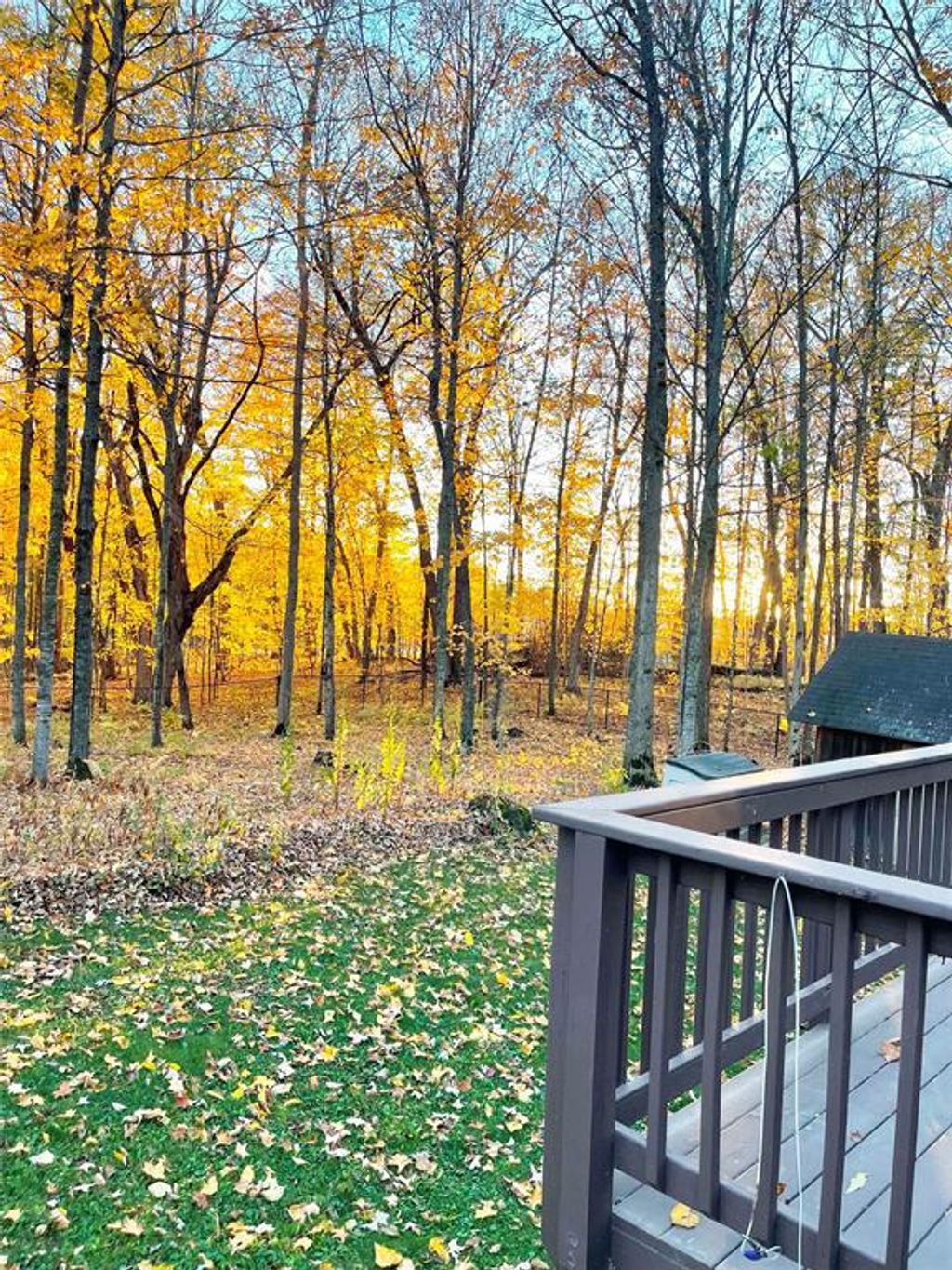 Photo of 2756 28 1/8 STREET, Birchwood, WI 54817 (MLS # 1598298)
