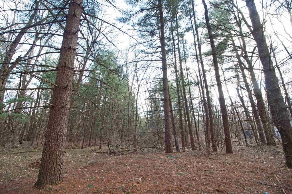 Photo of 33564 Fulton STREET, Lone Rock, WI 53556 (MLS # 2019438)