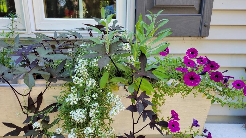 Photo of N7929 Doty DRIVE, Ripon, WI 54971 (MLS # 2016549)