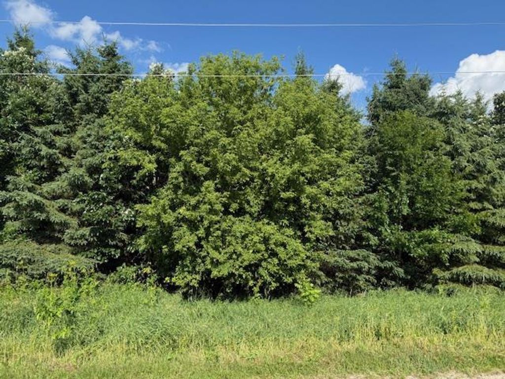 Photo of Artesian ROAD, Fond Du Lac, WI 54935 (MLS # 50320349)