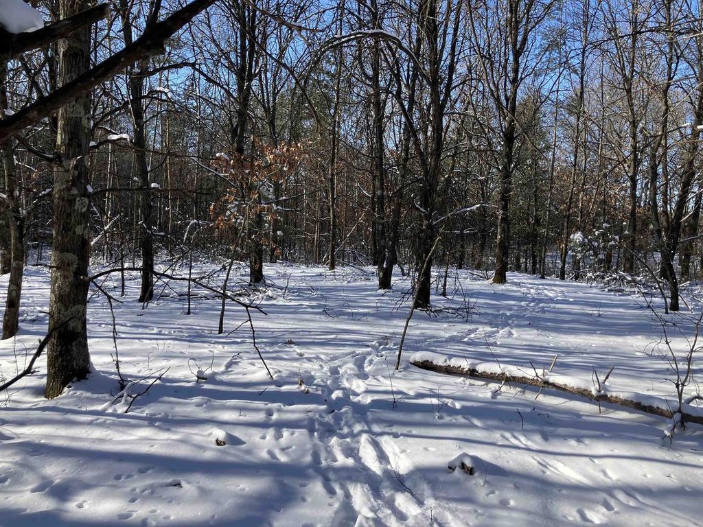 Photo of 6536 Akron AVENUE, Plainfield, WI 54966 (MLS # 50321469)