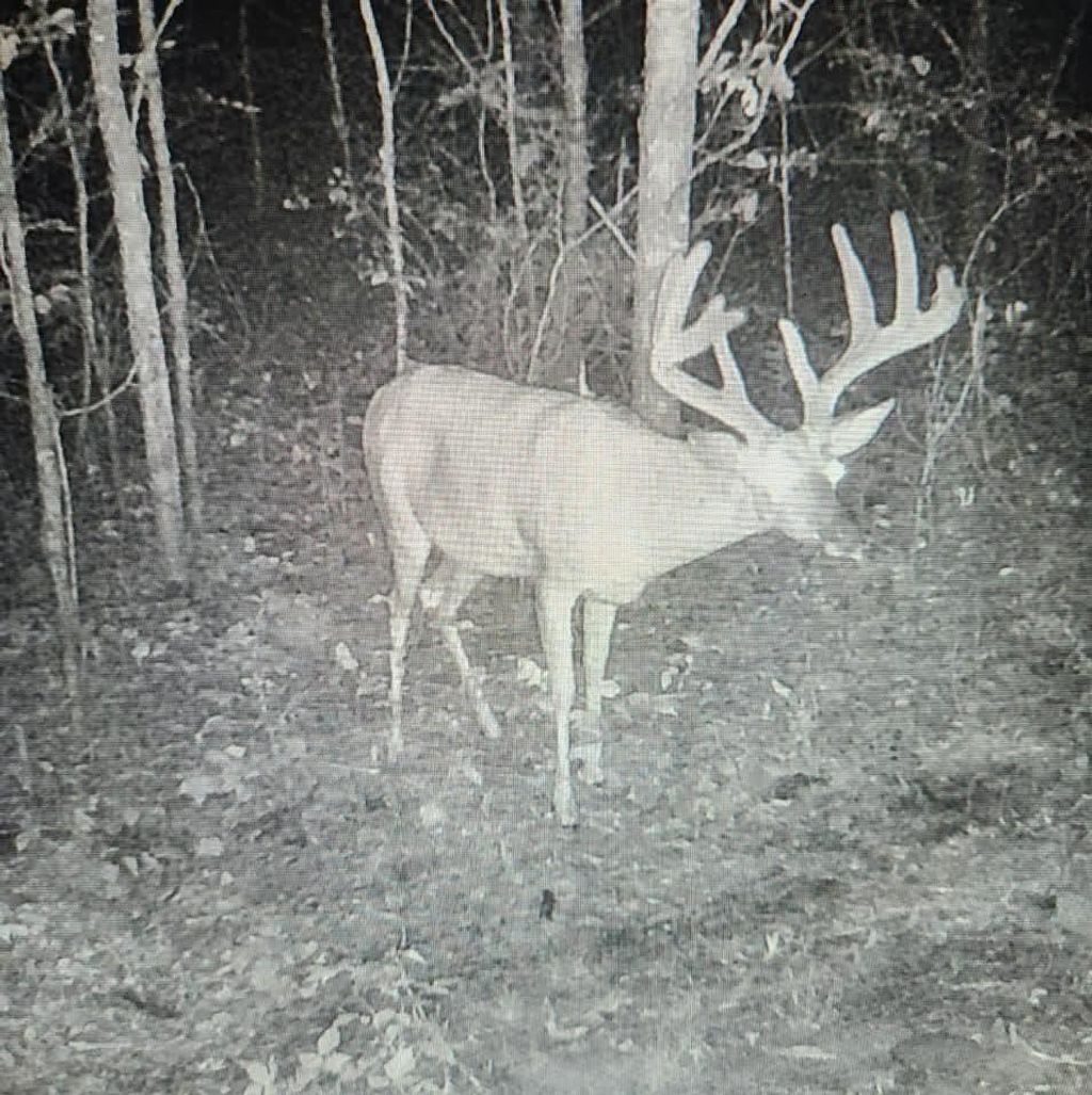 Photo of 6536 Akron AVENUE, Plainfield, WI 54966 (MLS # 50321469)