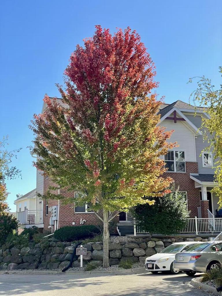 Photo of 719 Cricket LANE #6, Middleton, WI 53562 (MLS # 2034865)