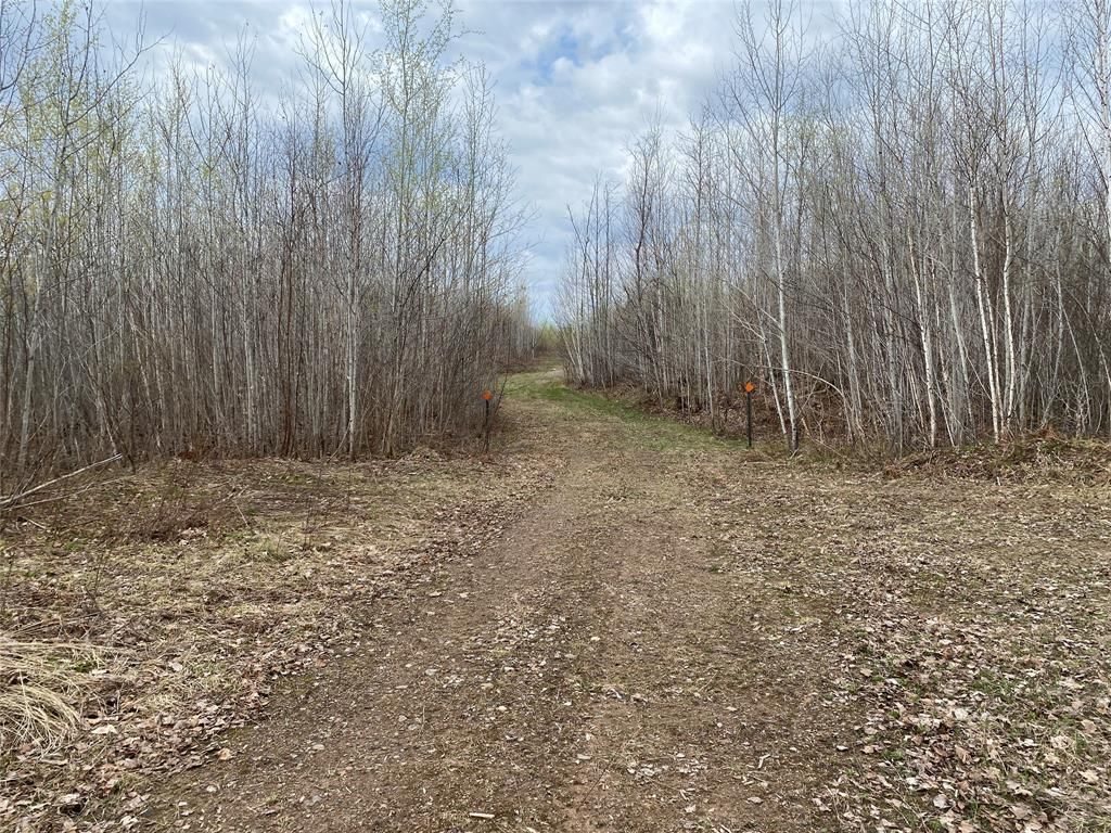 Photo of Near Wilson Lake Road, Phillips, WI 54555 (MLS # 1599328)