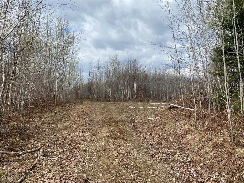 Photo of Near Wilson Lake Road, Phillips, WI 54555 (MLS # 1599328)
