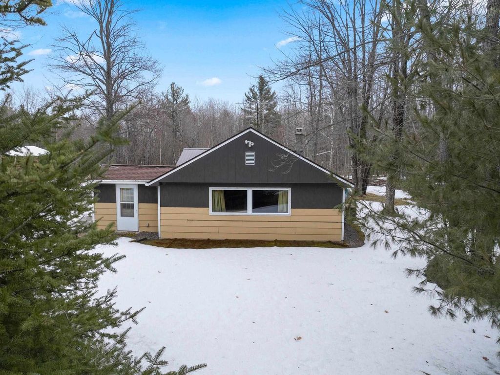 Photo of 17294 S Thielke ROAD, Lakewood, WI 54138 (MLS # 50323810)