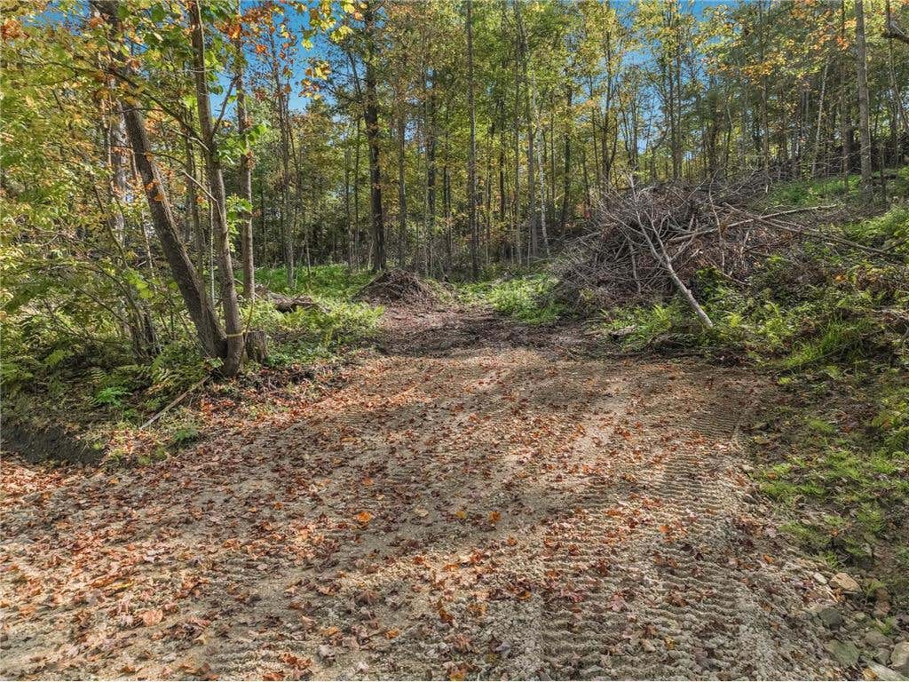Photo of Lot 2 TBD 1240th AVENUE, Glenwood City, WI 54734 (MLS # 7131522)