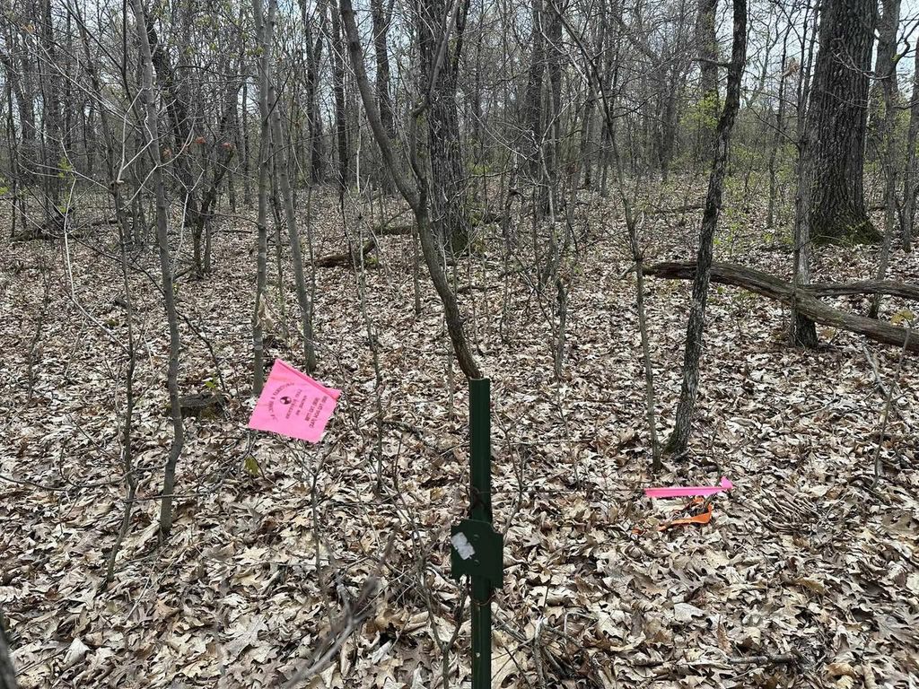 Photo of 8.77 ac Raedel LANE, Wisconsin Dells, WI 53965 (MLS # 2022500)