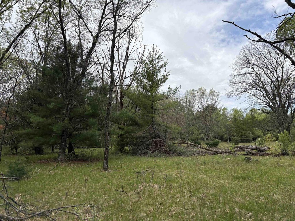 Photo of N6610 1st AVENUE, Oxford, WI 53952 (MLS # 50326074)