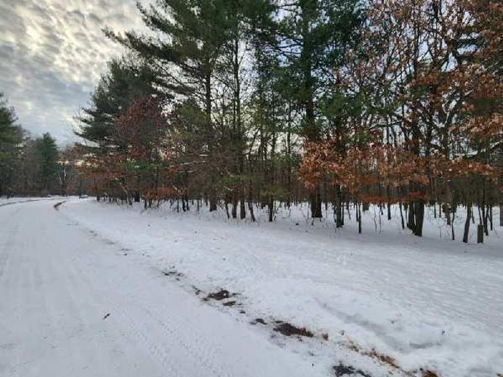 Photo of L28 and L29 S Badger LANE, Arkdale, WI 54613 (MLS # 2013852)