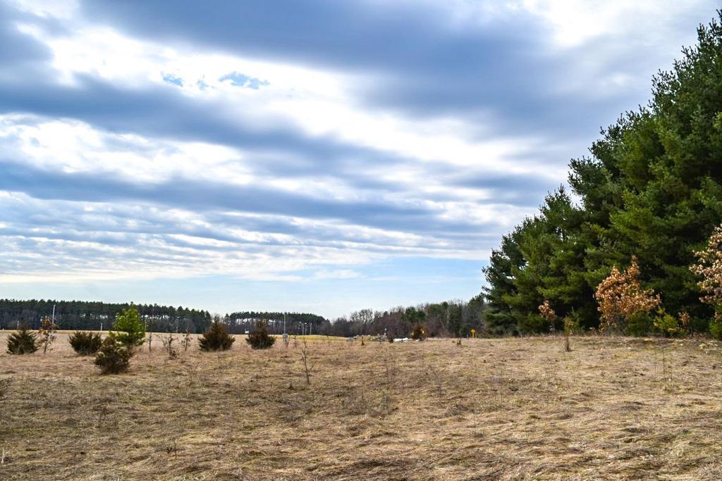 Photo of 4th AVENUE, Coloma, WI 54930 (MLS # 2019349)