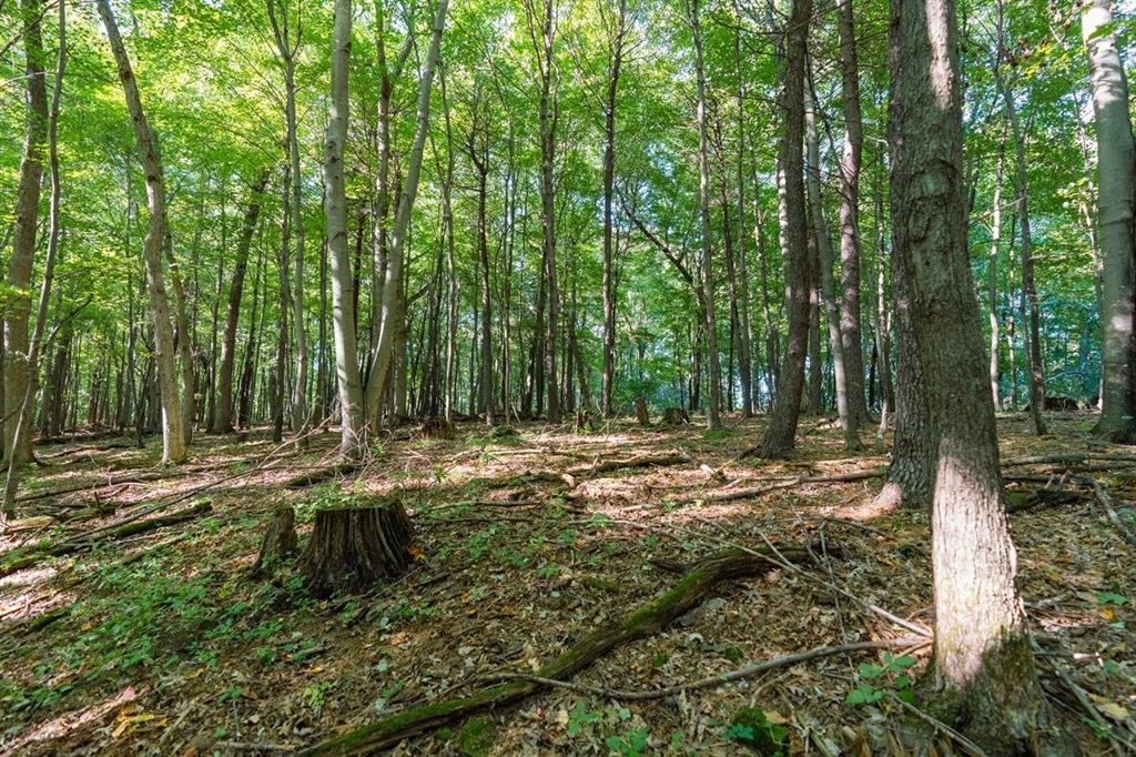 Photo of TBD21 815th AVENUE, Menomonie, WI 54751 (MLS # 1605596)