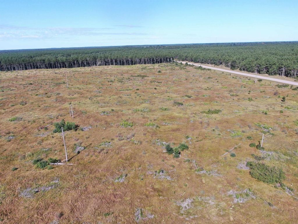 Photo of 40 AC Akron Dr Acres ACRES, Nekoosa, WI 54457 (MLS # 2009952)