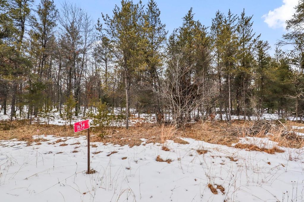 Photo of 1634 Badger AVENUE, Nekoosa, WI 54457 (MLS # 22600483)