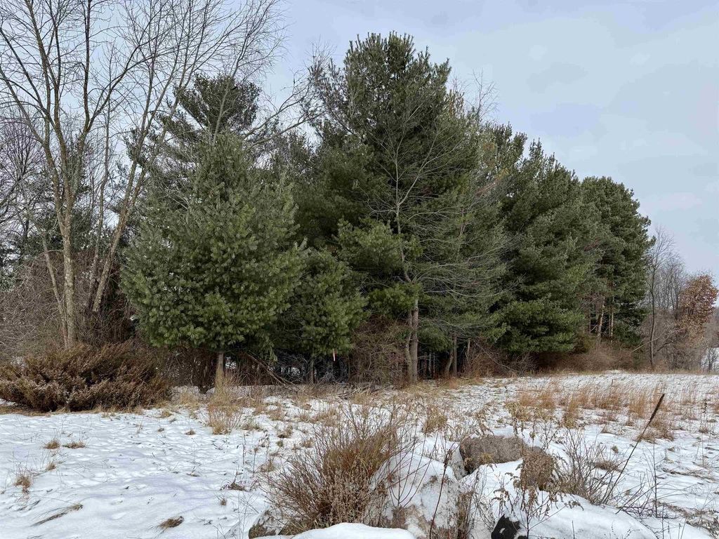 Photo of 777 Leighton ROAD, Waupaca, WI 54981 (MLS # 50320618)