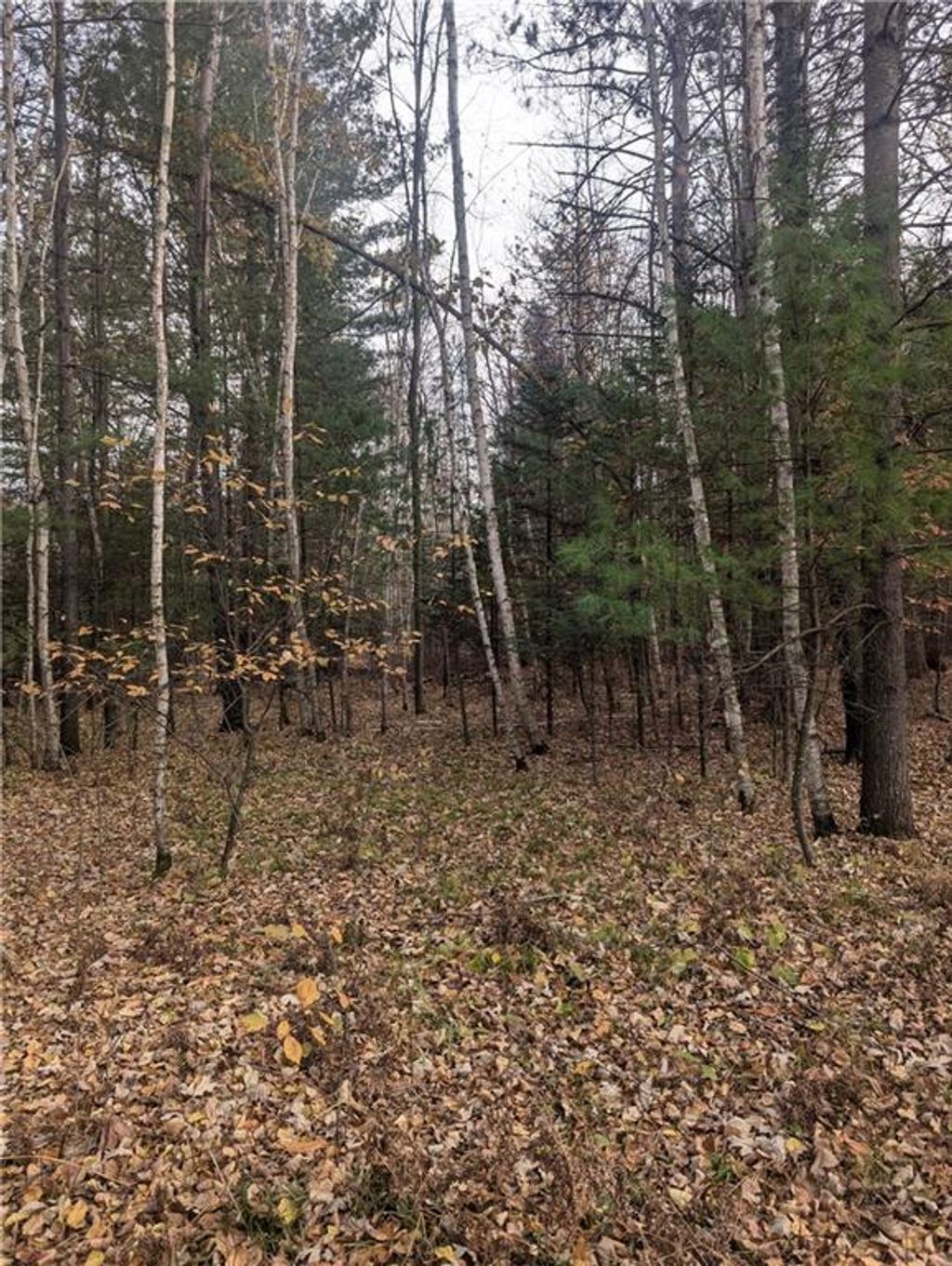 Photo of Lot 4 297th AVENUE, Holcombe, WI 54745 (MLS # 1596837)
