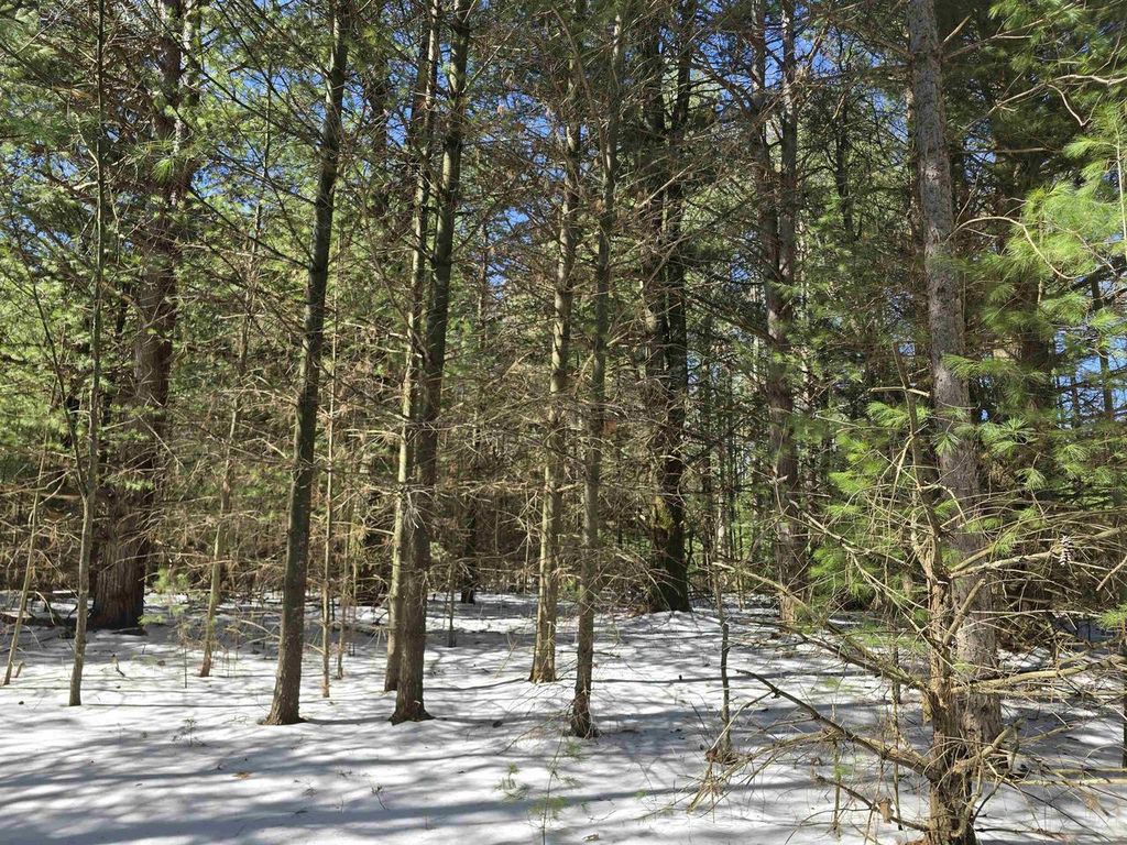 Photo of Buttercup DRIVE, Wautoma, WI 54982 (MLS # 50322632)
