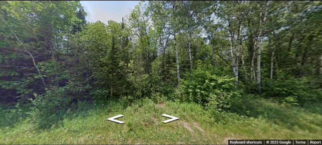 Photo of N7879 County Road H, Irma, WI 54442 (MLS # 50319376)