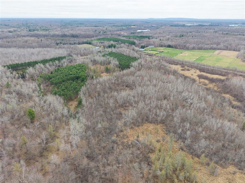 Photo of 40 Acres Adams &amp; Jones ROAD, Bruce, WI 54819 (MLS # 1600432)
