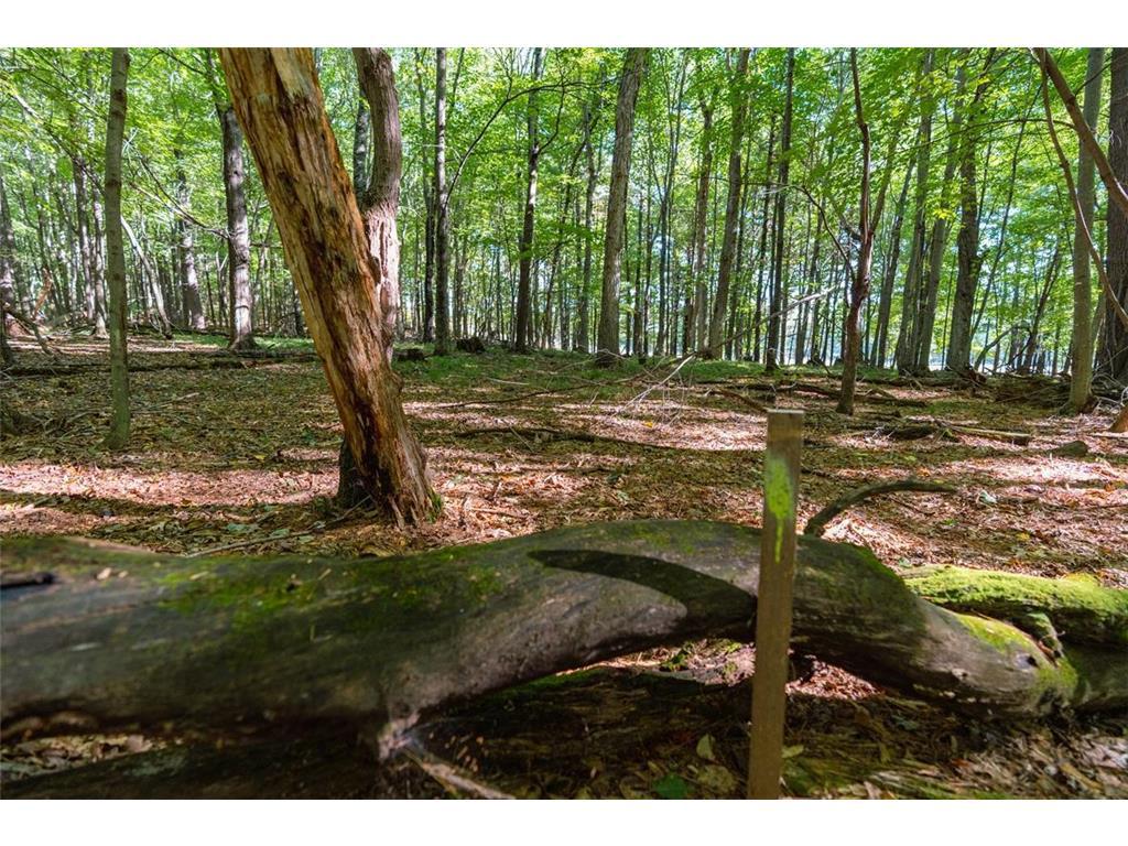 Photo of Lot7 815th AVENUE, Menomonie, WI 54751 (MLS # 7152449)