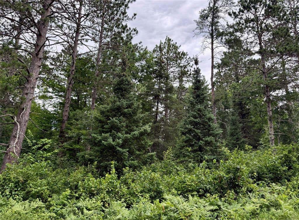 Photo of Lot 23 Lake Lodge DRIVE, Cable, WI 54821 (MLS # 1603540)