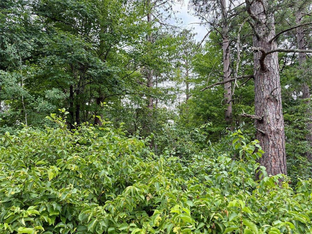 Photo of Lot 23 Lake Lodge DRIVE, Cable, WI 54821 (MLS # 1603540)