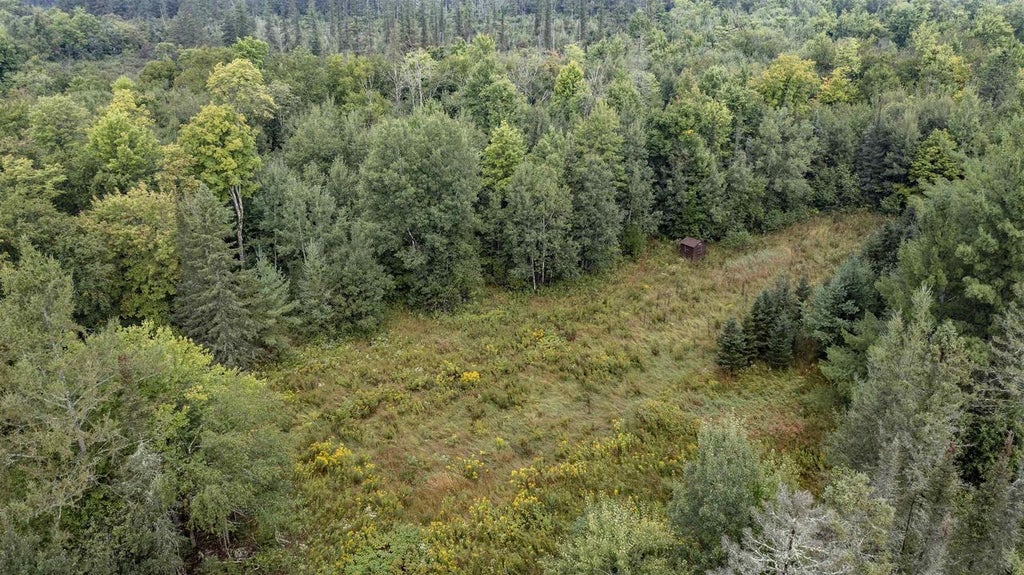 Photo of W14748 2nd AVENUE, Gleason, WI 54435 (MLS # 50332148)