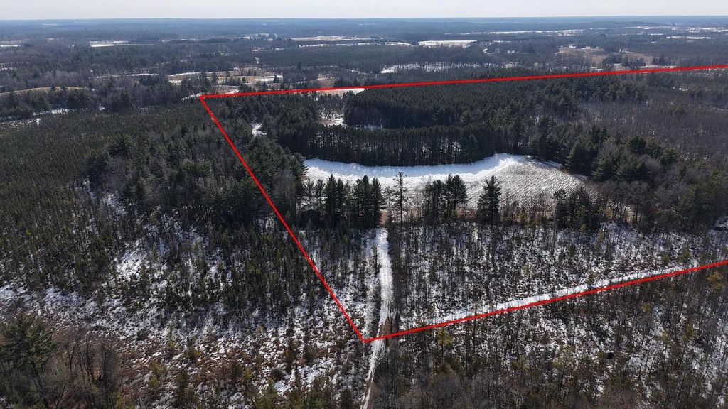 Photo of 80 AC King Lane Acres ACRES, Rosholt, WI 54473 (MLS # 2018595)