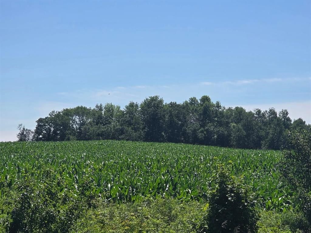 Photo of X 110th Street, Frederic, WI 54837 (MLS # 1603095)