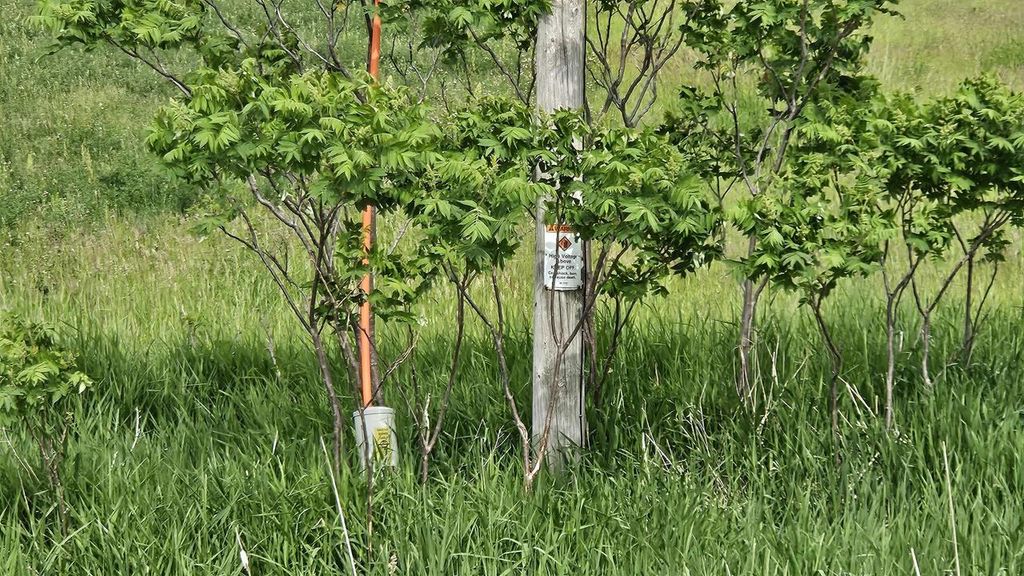 Photo of W1502 Cypress AVENUE, Berlin, WI 54923 (MLS # 50326966)