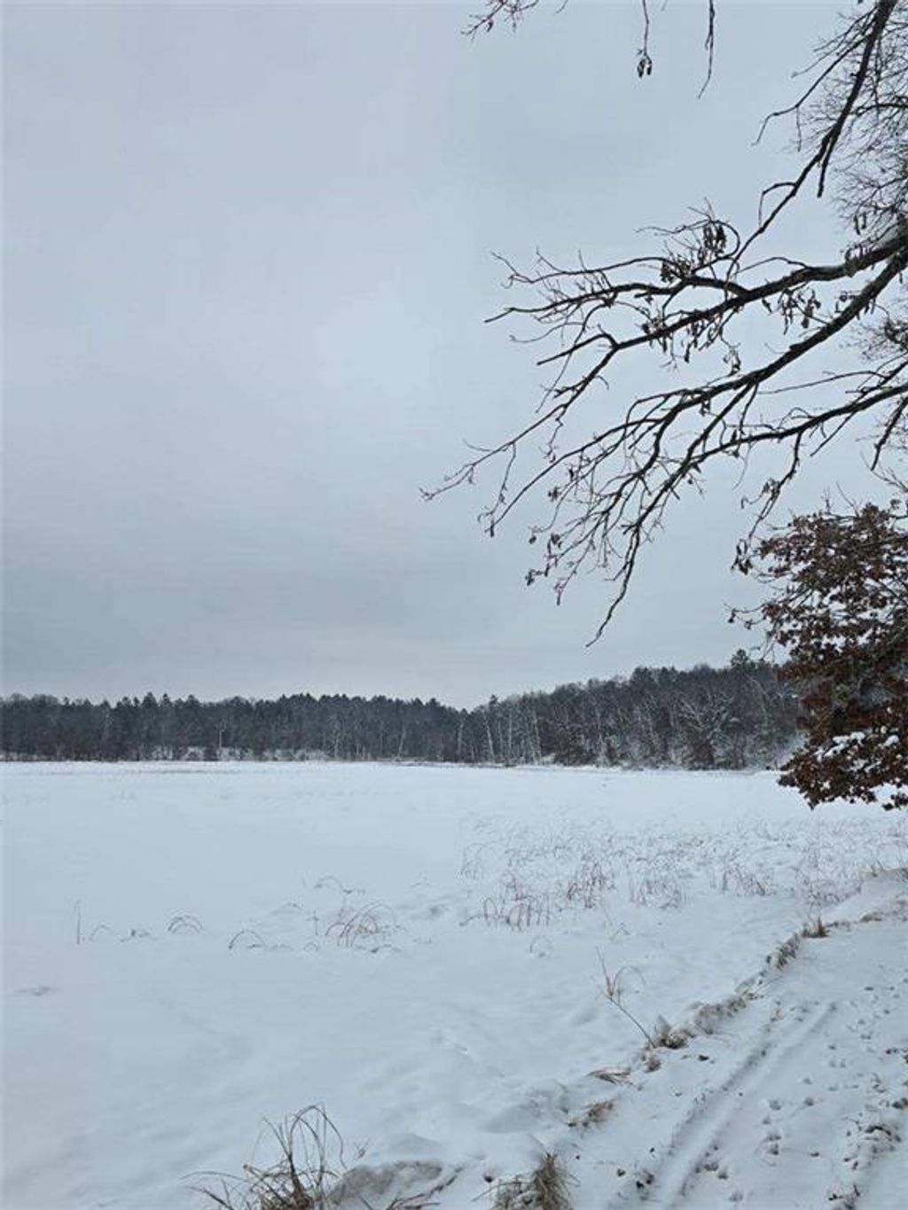 Photo of 9019 W Wood Duck Lane, Minong, WI 54859 (MLS # 1597440)