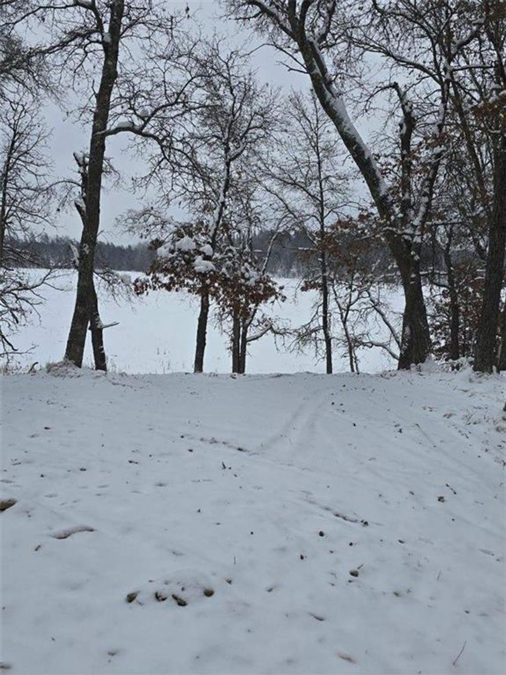 Photo of 9019 W Wood Duck Lane, Minong, WI 54859 (MLS # 1597440)