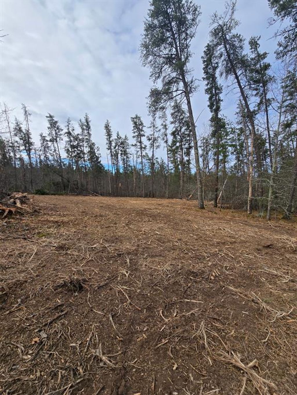 Photo of 9075 W Wood Duck Lane, Minong, WI 54859 (MLS # 1599928)