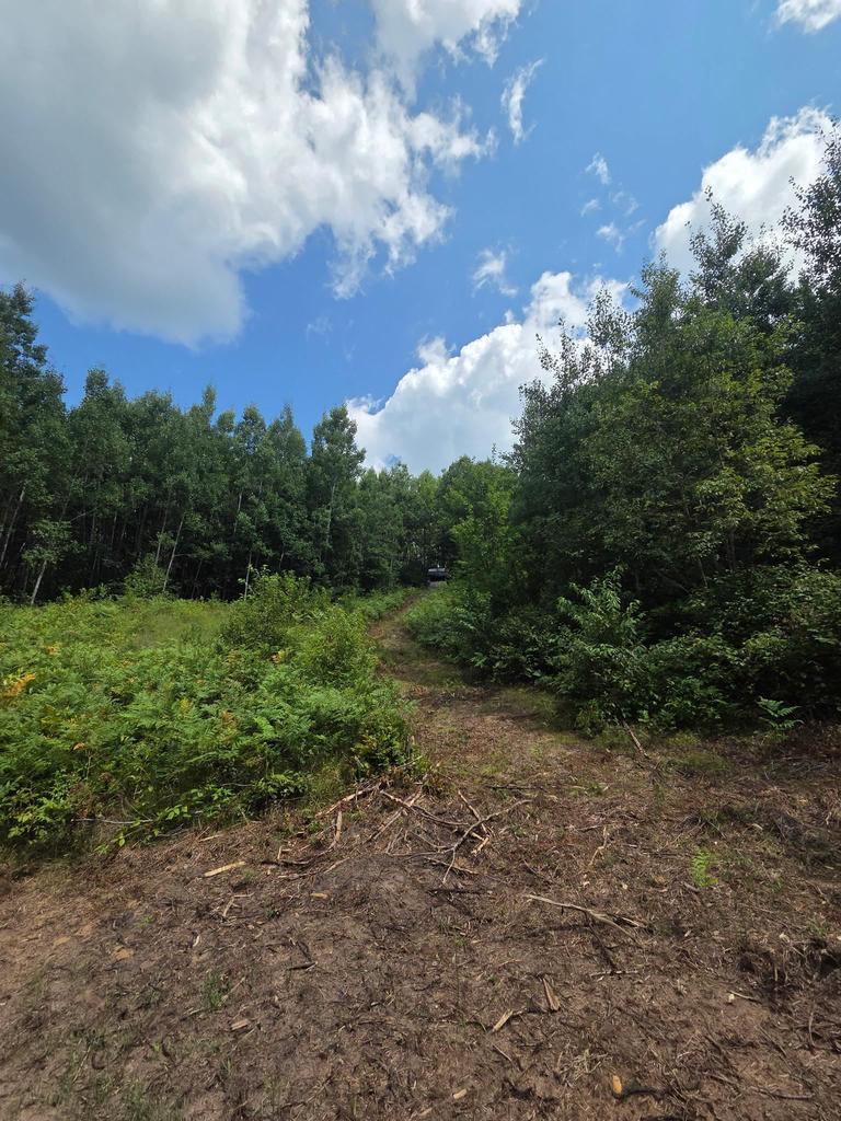 Photo of Spangenberg ROAD, Pembine, WI 54156 (MLS # 50330749)