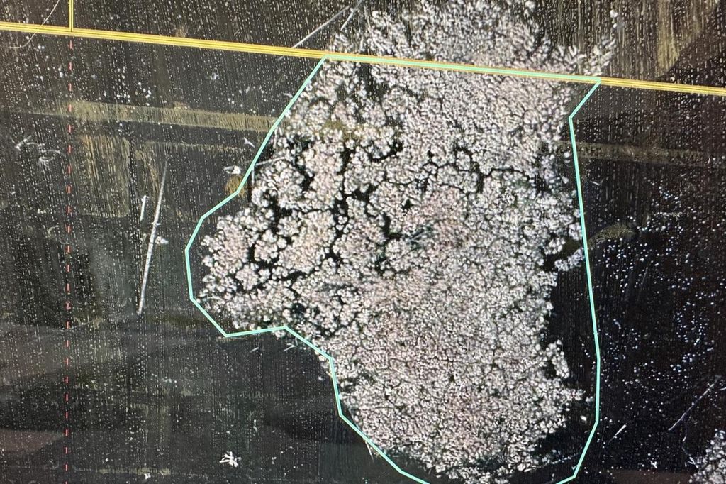 Photo of Island DRIVE, Iola, WI 54945 (MLS # 50321861)