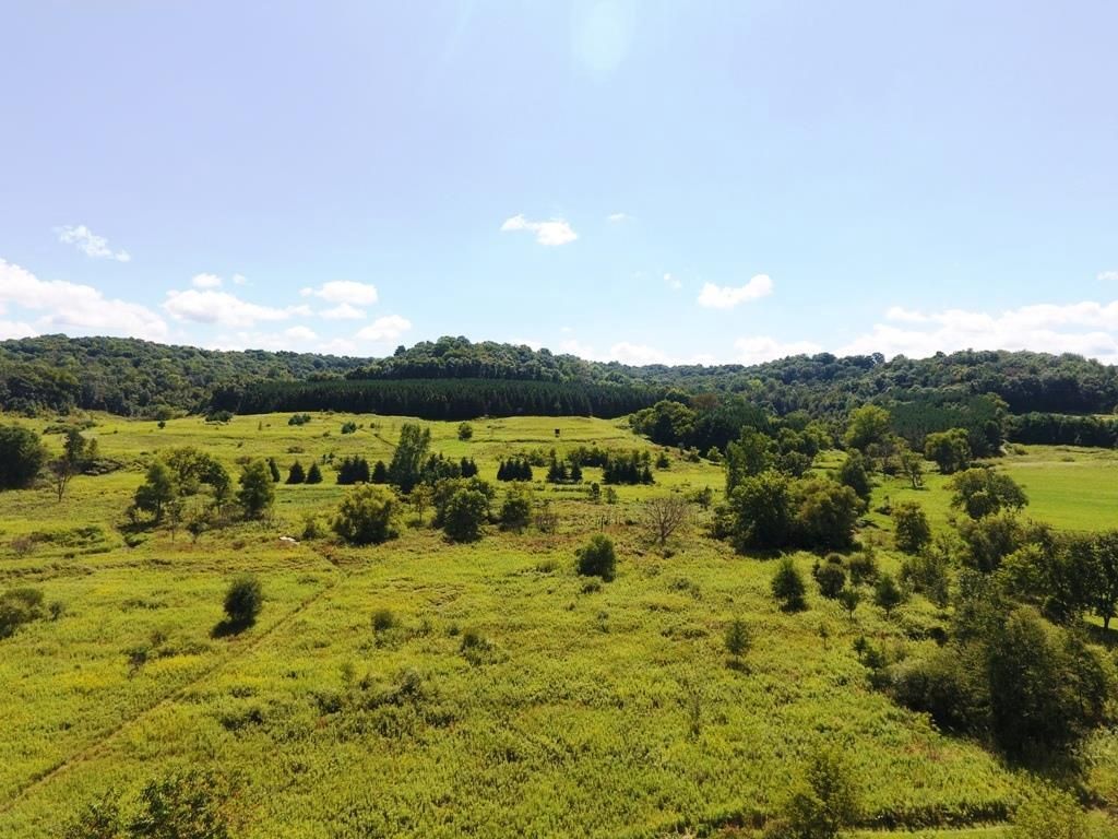 Photo of 3575 N Oakland AVENUE #Unit B, Shorewood, WI 53211 (MLS # 1942487)