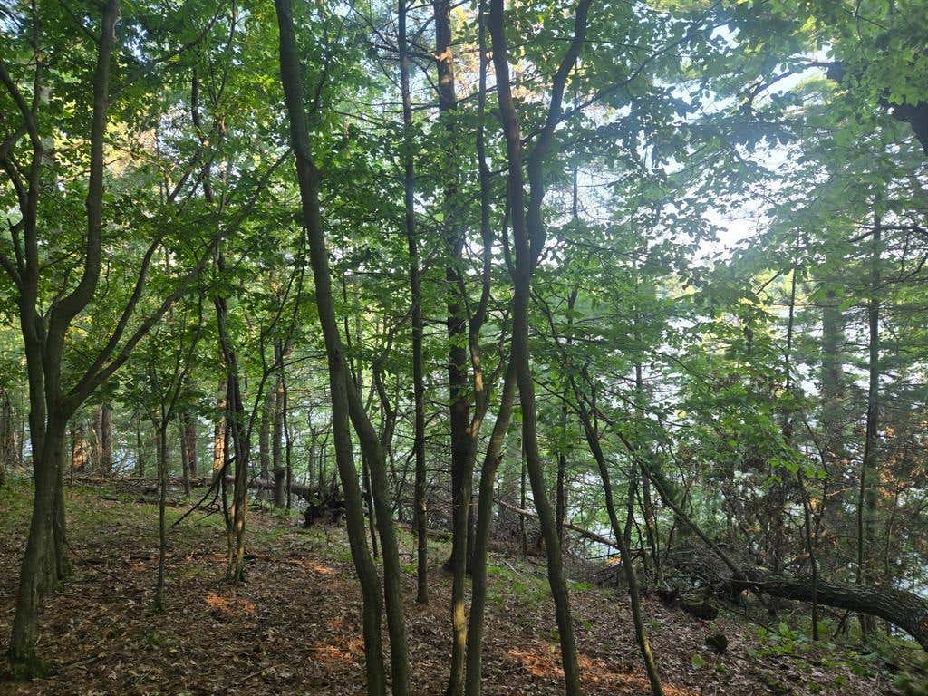Photo of Lot 2 75th Ave, Chippewa Falls, WI 54729 (MLS # 1604378)