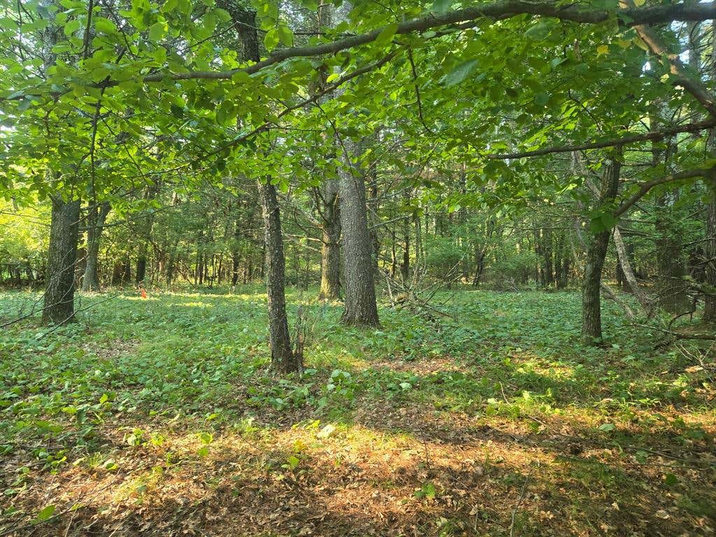 Photo of Lot 2 75th Ave, Chippewa Falls, WI 54729 (MLS # 1604378)