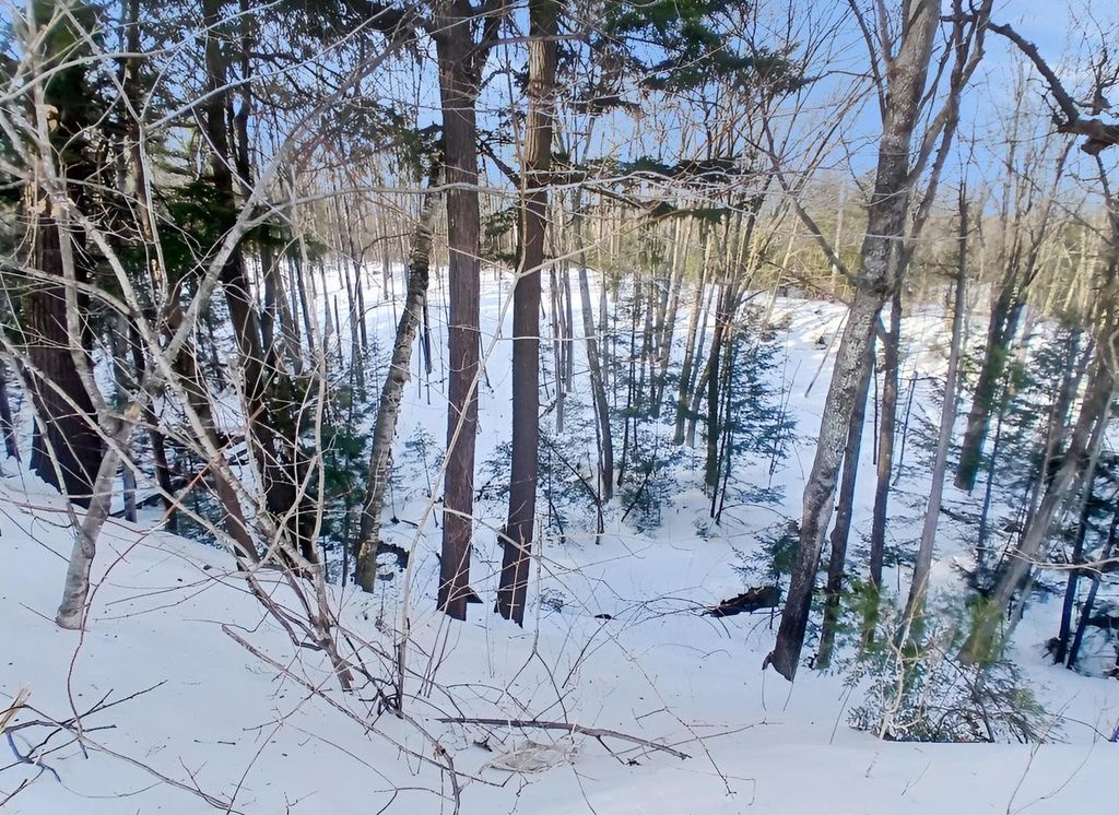 Photo of 87765 Hwy 13, Bayfield, WI 54814 (MLS # 6123753)