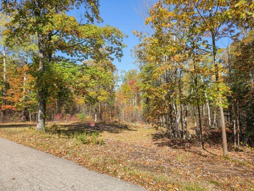 Photo of W10976 Woods ROAD, Dunbar, WI 54119 (MLS # 50334077)