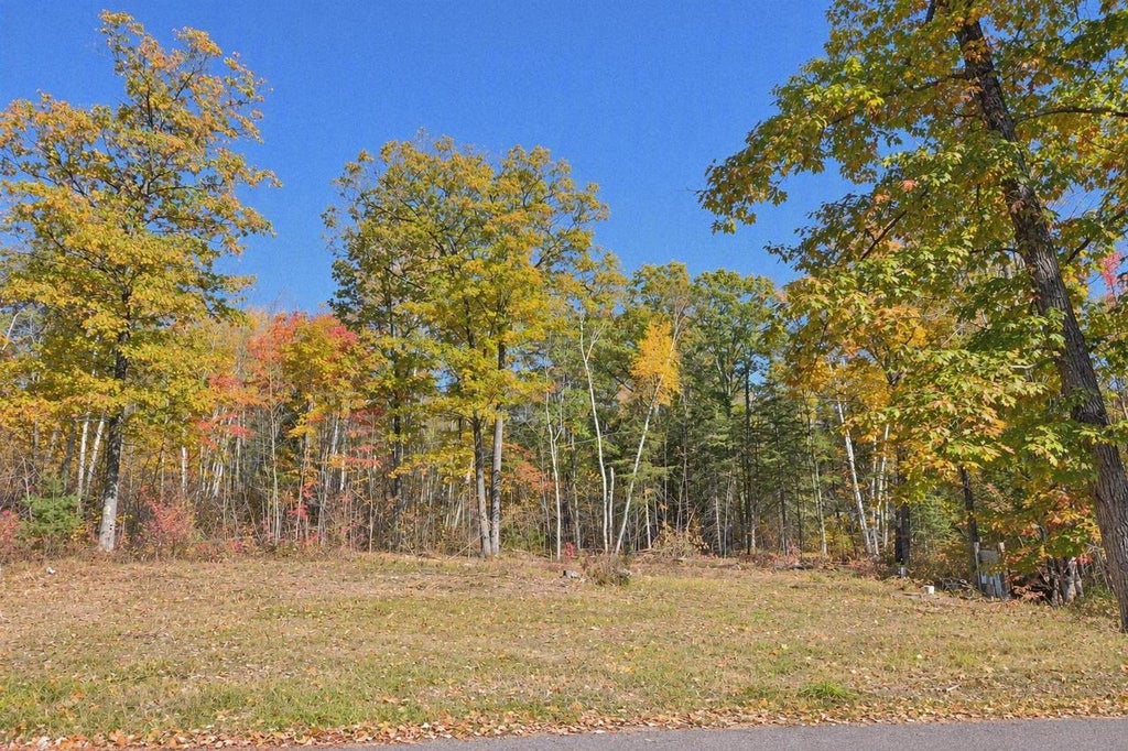 Photo of W10976 Woods ROAD, Dunbar, WI 54119 (MLS # 50334077)