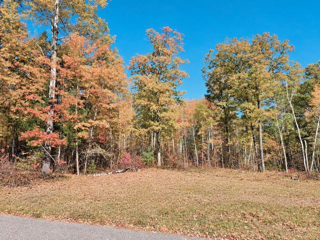 Photo of W10976 Woods ROAD, Dunbar, WI 54119 (MLS # 50334077)