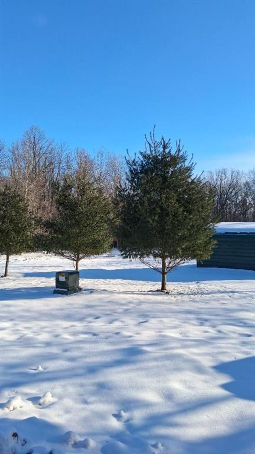 Photo of S825 Tower ROAD, Boyd, WI 54726 (MLS # 1598102)