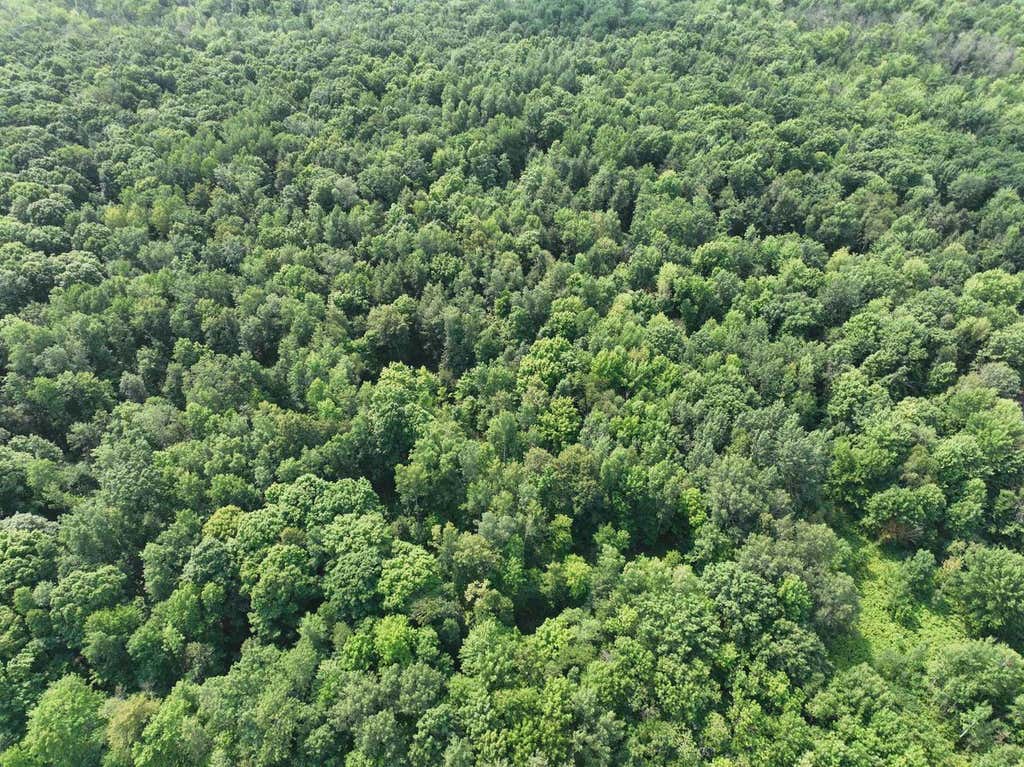 Photo of Lot 15 Burma ROAD, Mosinee, WI 54455 (MLS # 22603973)