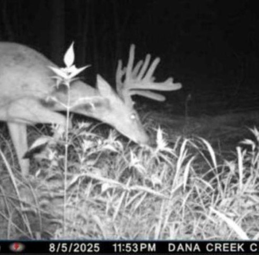 Photo of W17810 W Eland ROAD, Wittenberg, WI 54499 (MLS # 50319825)