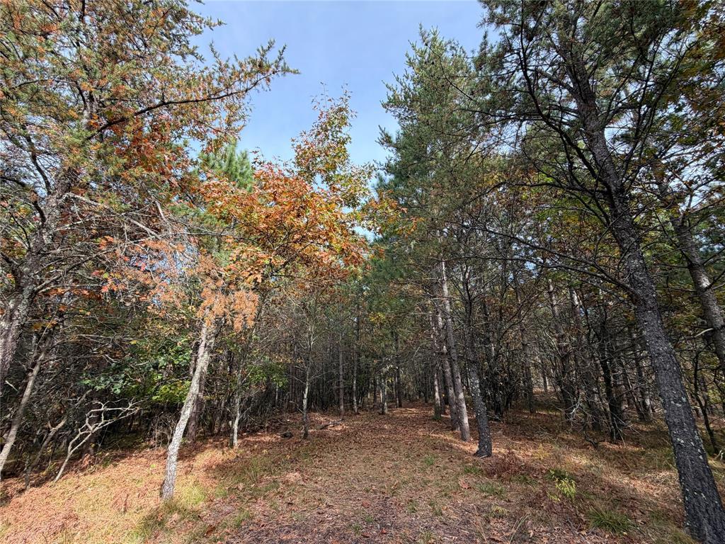 Photo of 14375 Grell ROAD, Grantsburg, WI 54840 (MLS # 1605788)